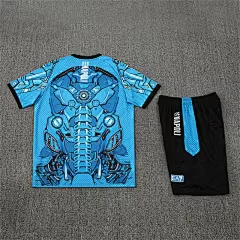 2025-26 Napoli Light Blue Short Sleeve Training Jersey view 17