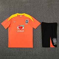 2025-26 Brazil Orange Short Sleeve Training Jersey view 16
