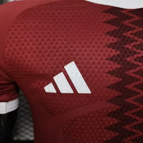 2026 Qatar Home Jersey - Player Version view 6