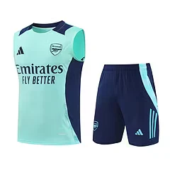 2024-25 Arsenal training vest jersey view 19