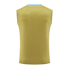 2024-25 Argentina training vest view 15
