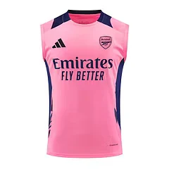 2024-25 Arsenal training vest jersey view 16