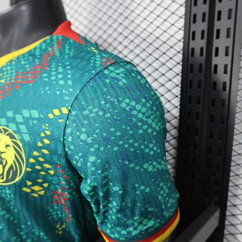 2026 Cameroon Home Jersey - Player Version view 5