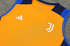 2024-25 Juventus training vest jersey view 7