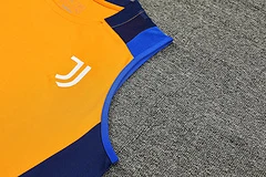 2024-25 Juventus training vest jersey view 9