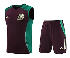 2024-25 Mexico training vest jersey view 20