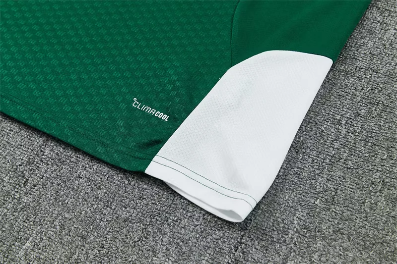 2026-27 Italy Green Short-Sleeve Training Jersey view 9