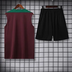 2024-25 Paris Saint-Germain training vest view 2