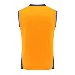 2024-25 Juventus training vest jersey view 14