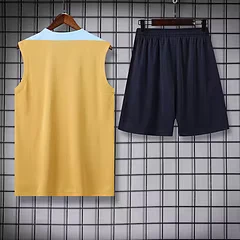 2024-25 France training vest view 2