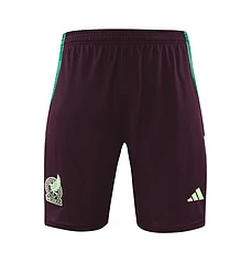 2024-25 Mexico training vest jersey view 14