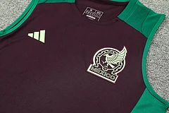 2024-25 Mexico training vest jersey view 9