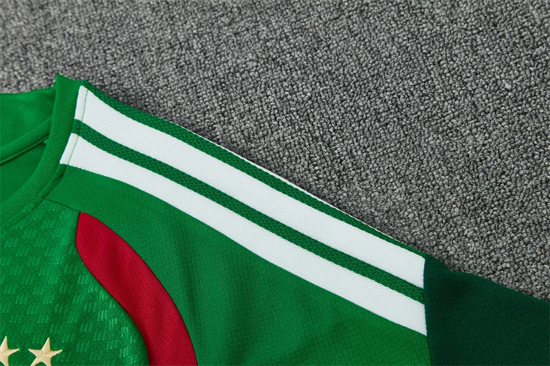 2026-27 Algeria Green Short-Sleeve Training Jersey view 15