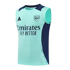 2024-25 Arsenal training vest jersey view 15