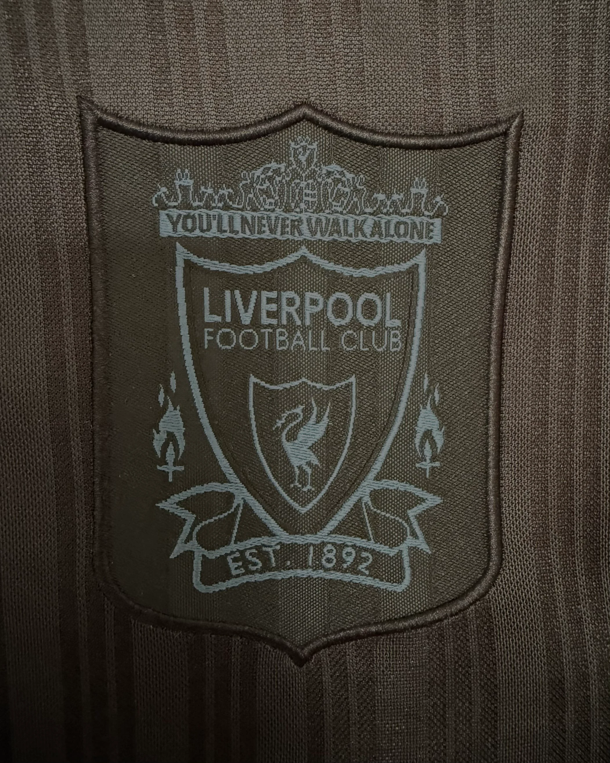 1995-96 Liverpool Special Edition Retro Long-Sleeve Jersey view 3