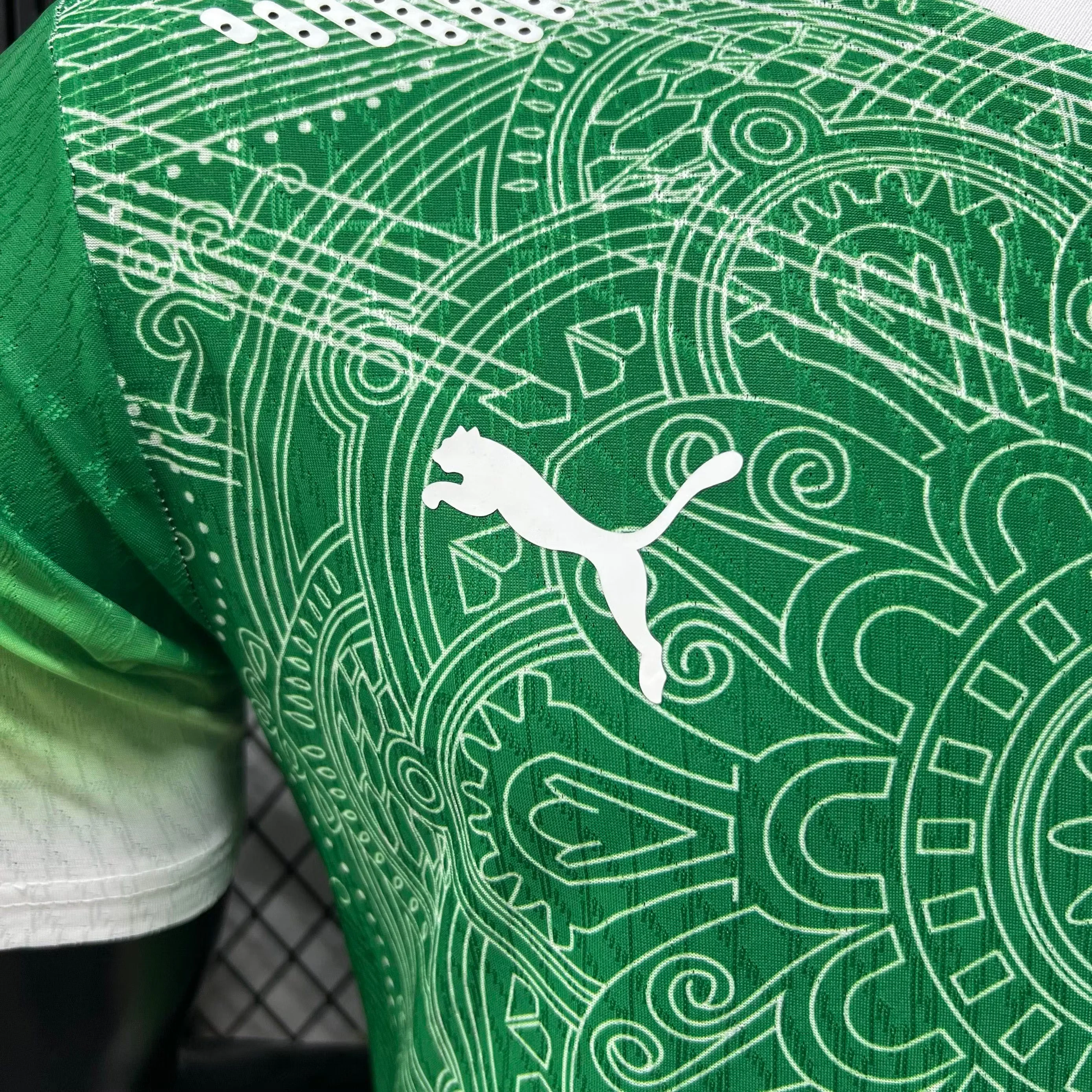 2026 Ivory Coast Special Edition Jersey – Player Version view 4