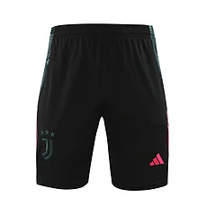 2024-25 Juventus training vest jersey view 14