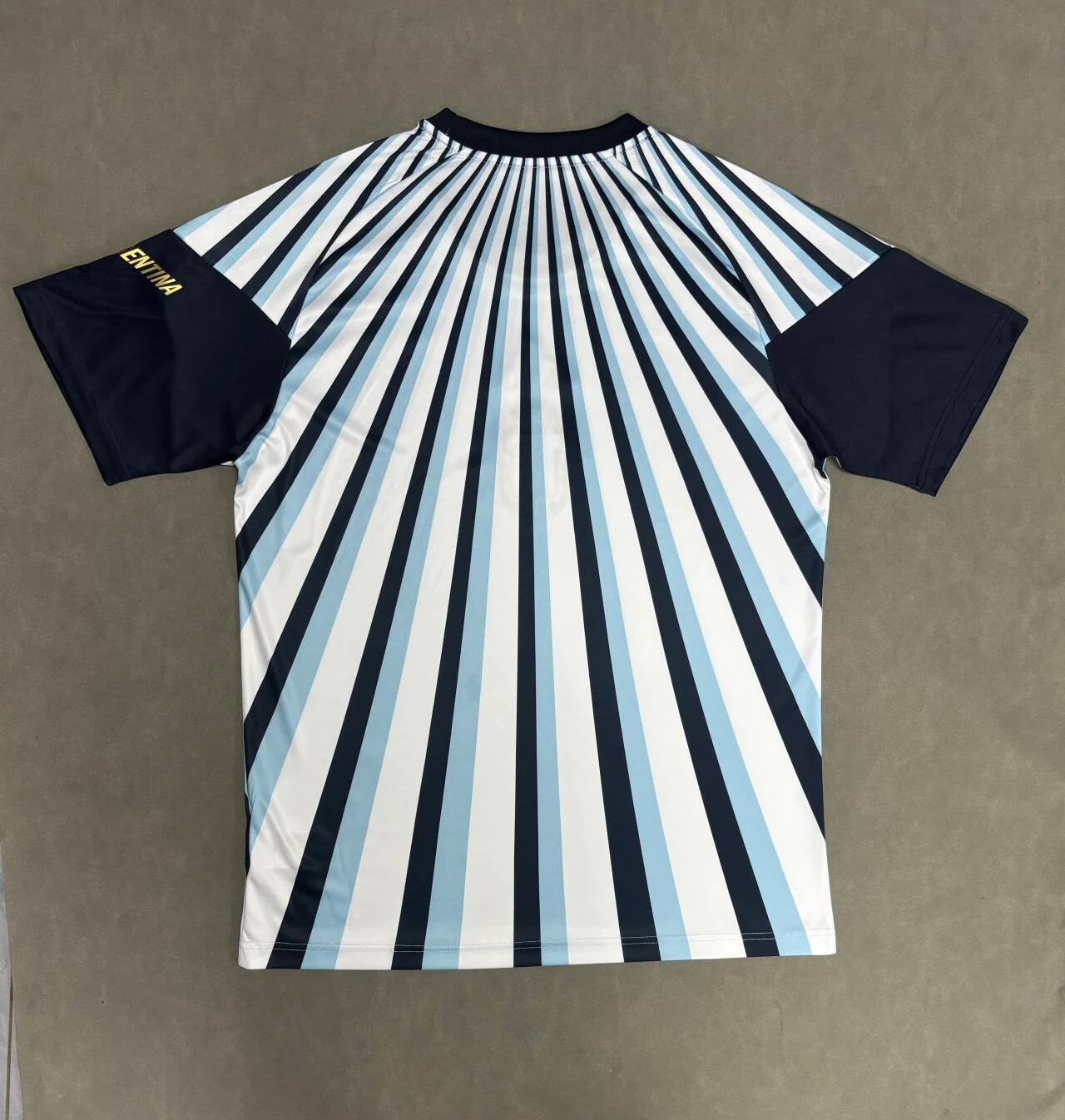 2026-27 Argentina Training Jersey – Fan Version view 2