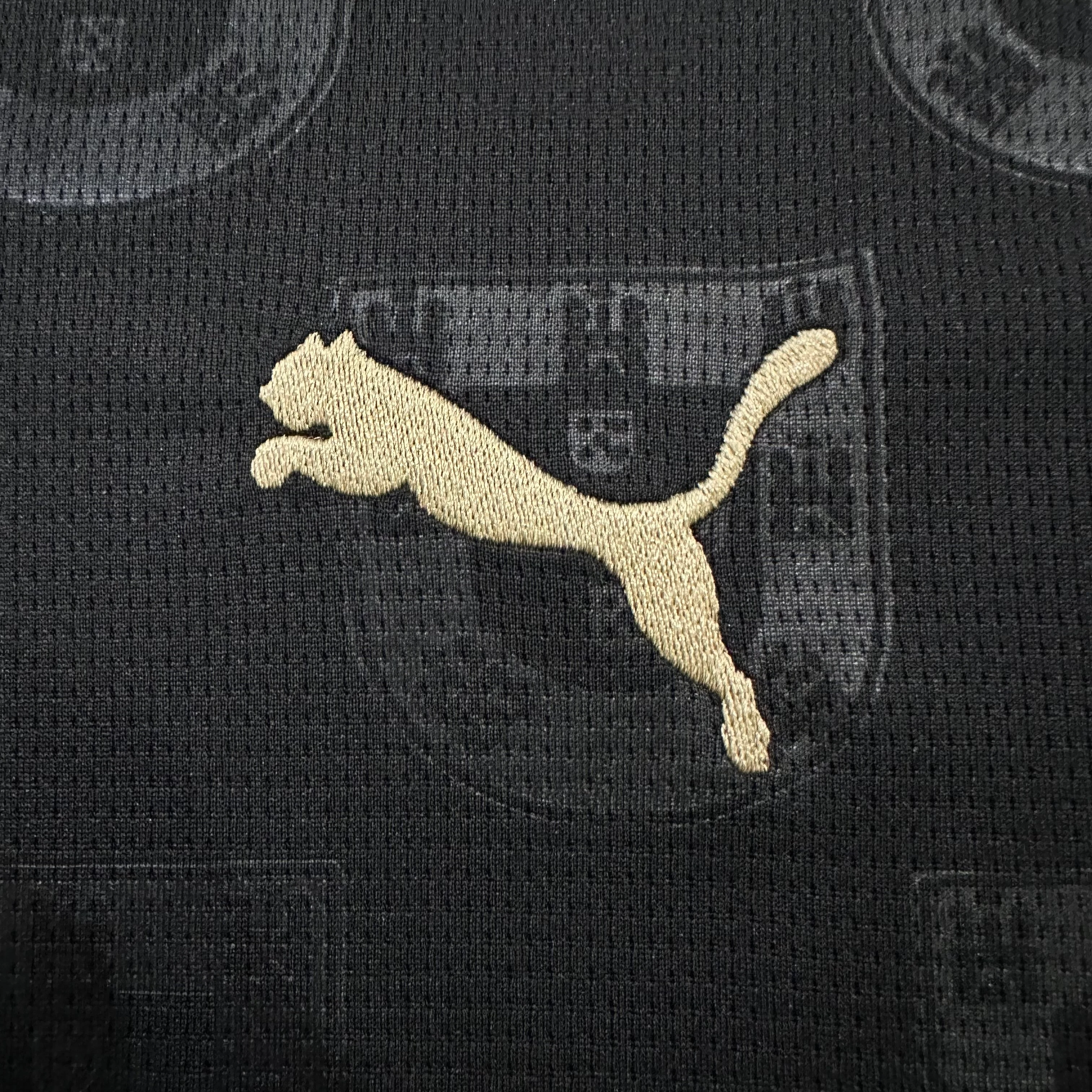 2026-27 Portugal "Black Panther" Special Edition Jersey – Fan Version view 7
