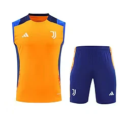 2024-25 Juventus training vest jersey view 19