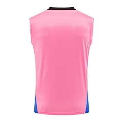 2024-25 Arsenal training vest jersey view 14