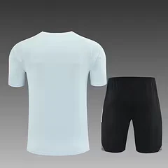 2025-26 Japan Light Grey Short Sleeve Training Jersey view 2
