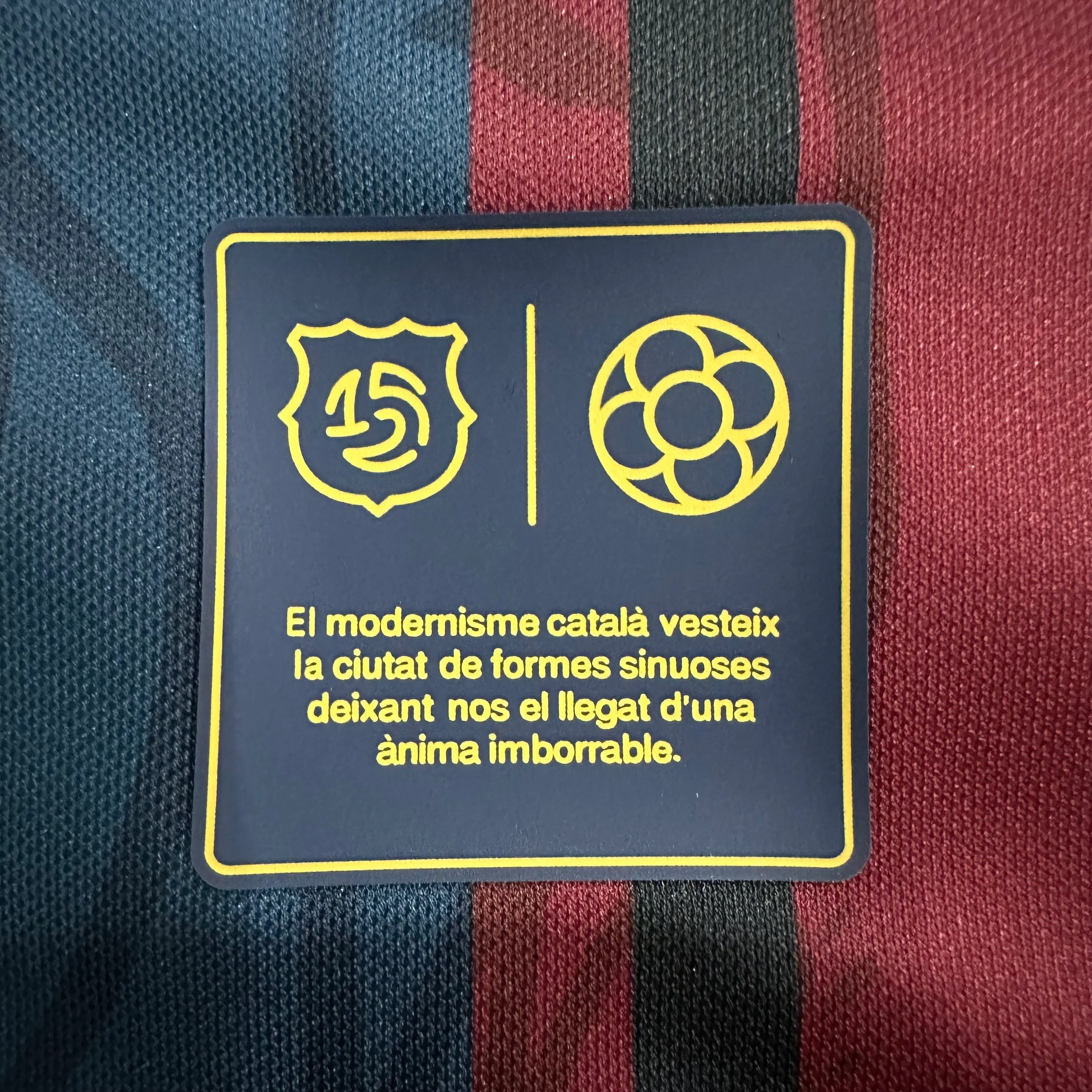2025-26 Barcelona 125th Anniversary Kit view 6