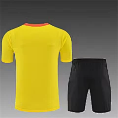 2025-26 Brazil yellow short-sleeved training jersey view 2