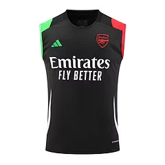 2024-25 Arsenal training vest jersey view 18