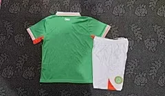 2025-26 Ireland Home Shirt - Kids view 2