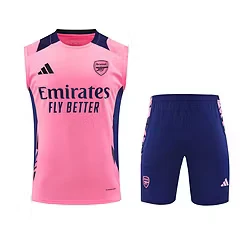 2024-25 Arsenal training vest jersey view 20