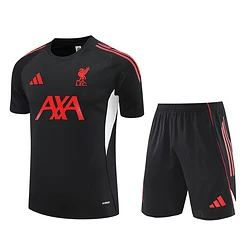 2025-26 Liverpool FC Black Short Sleeve Training Shirt view 17