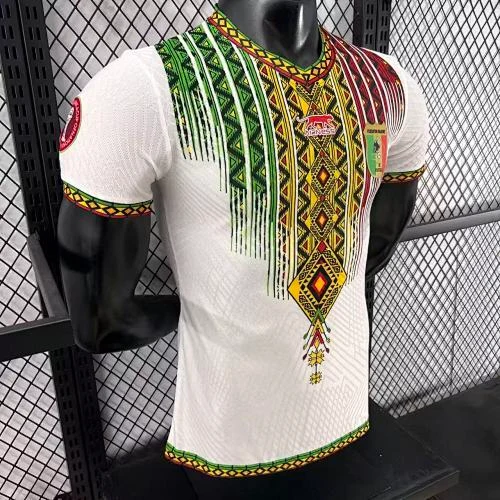 2025-26 Mali Home and Away Jerseys - Player Version view 8