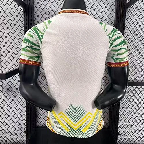 2025-26 Mali Home and Away Jerseys - Player Version view 2