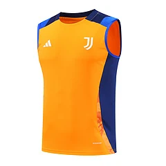 2024-25 Juventus training vest jersey view 15
