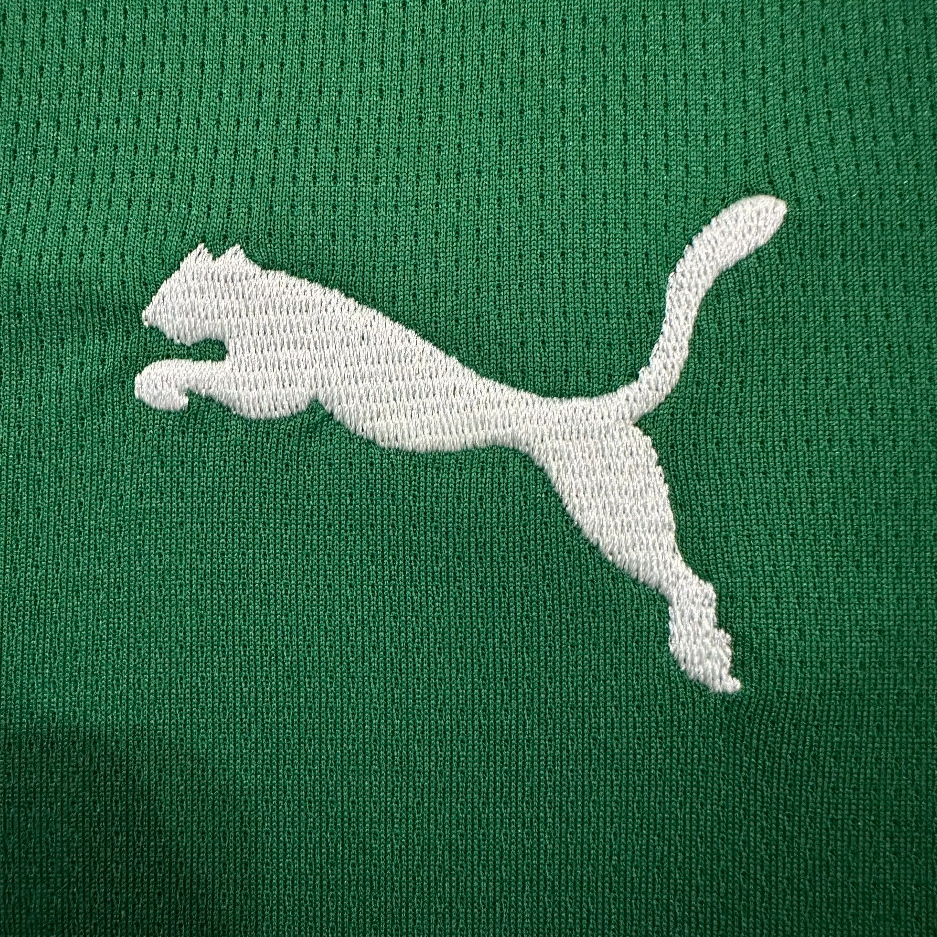 2026-27 Palmeiras Home Jersey – Fan Version view 4