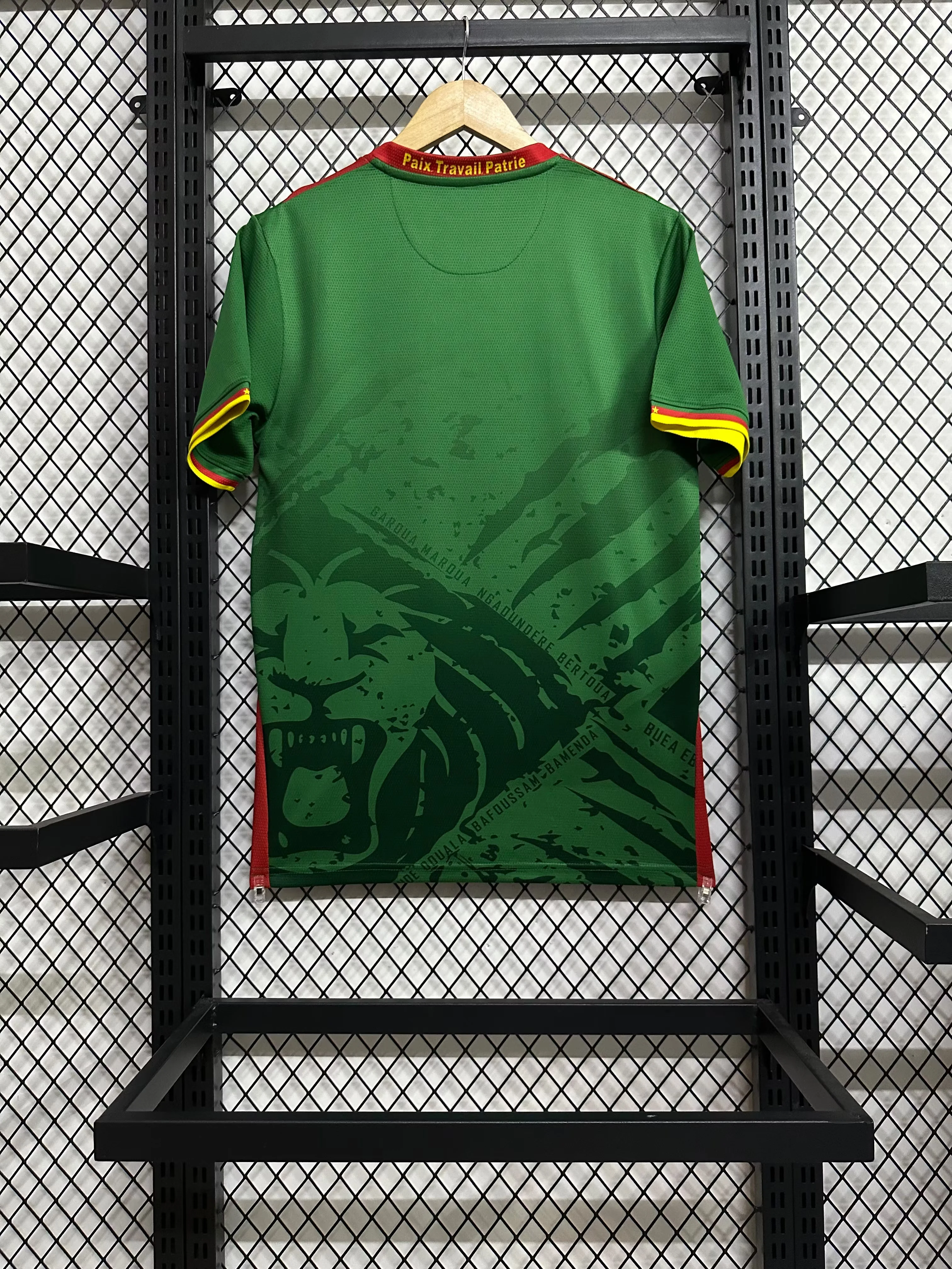 2025-26 Cameroon Home Jersey - Fan Edition view 2