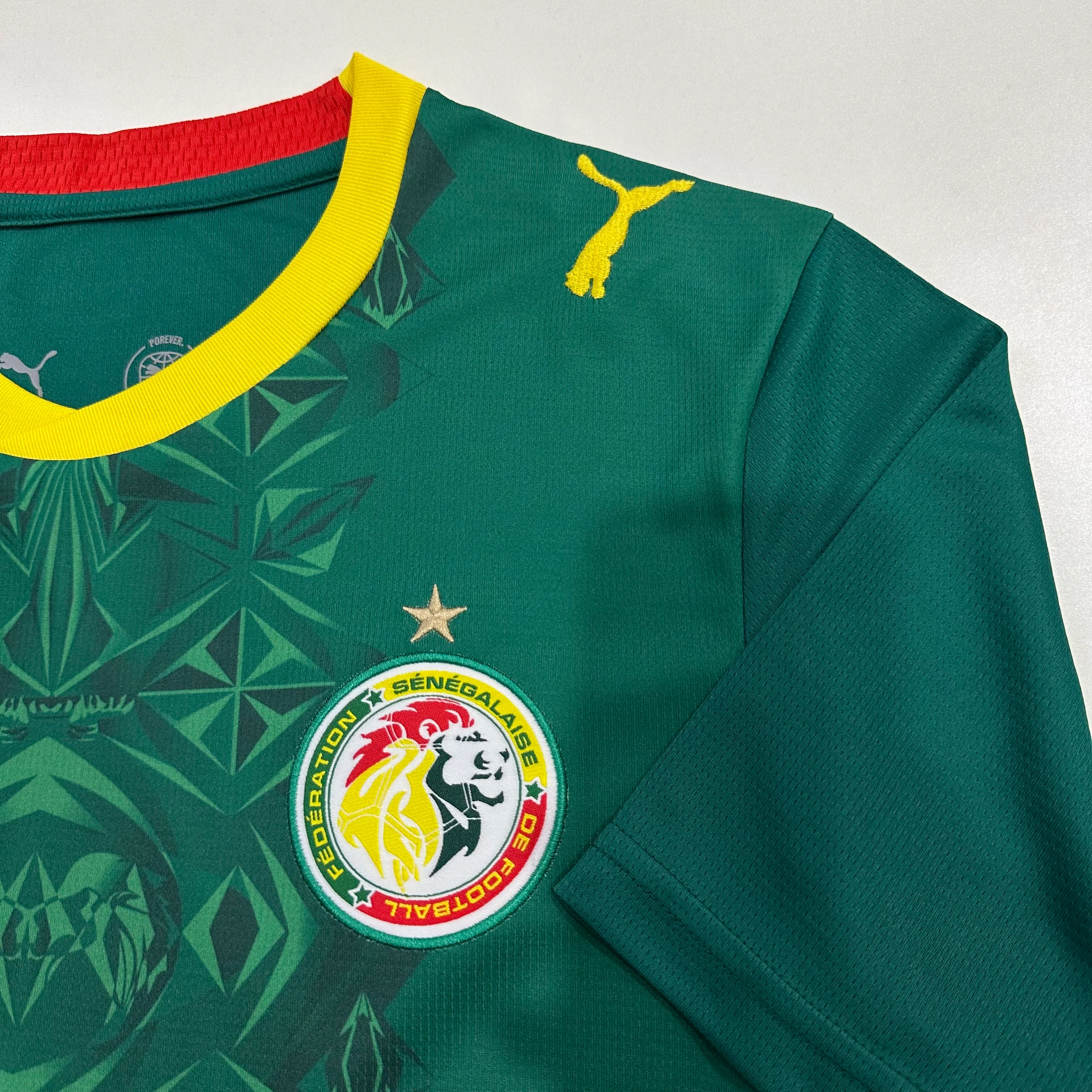2026-27 Senegal Home Jersey view 6
