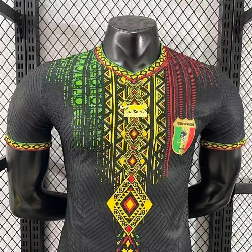 2025-26 Mali Home and Away Jerseys - Player Version view 3