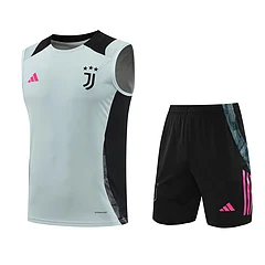 2024-25 Juventus training vest jersey view 19