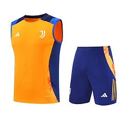 2024-25 Juventus training vest jersey view 18