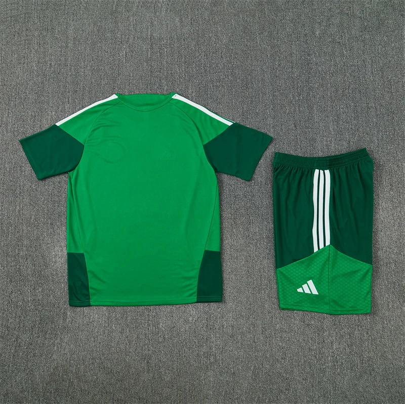 2026-27 Algeria Green Short-Sleeve Training Jersey view 17