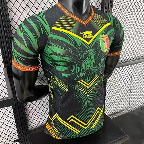 2025-26 Mali Home and Away Jerseys - Player Version view 4