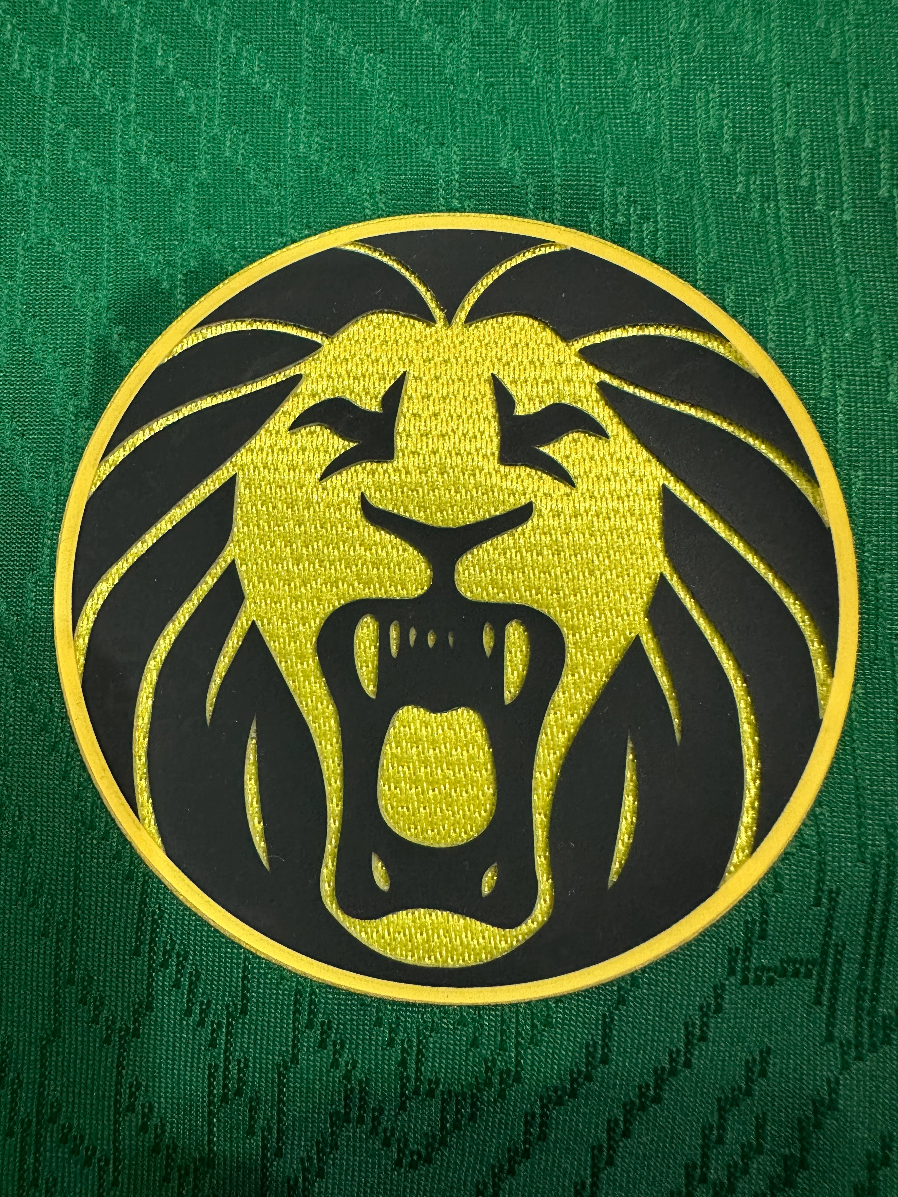 2025-26 Cameroon Home Jersey – Player Version view 4