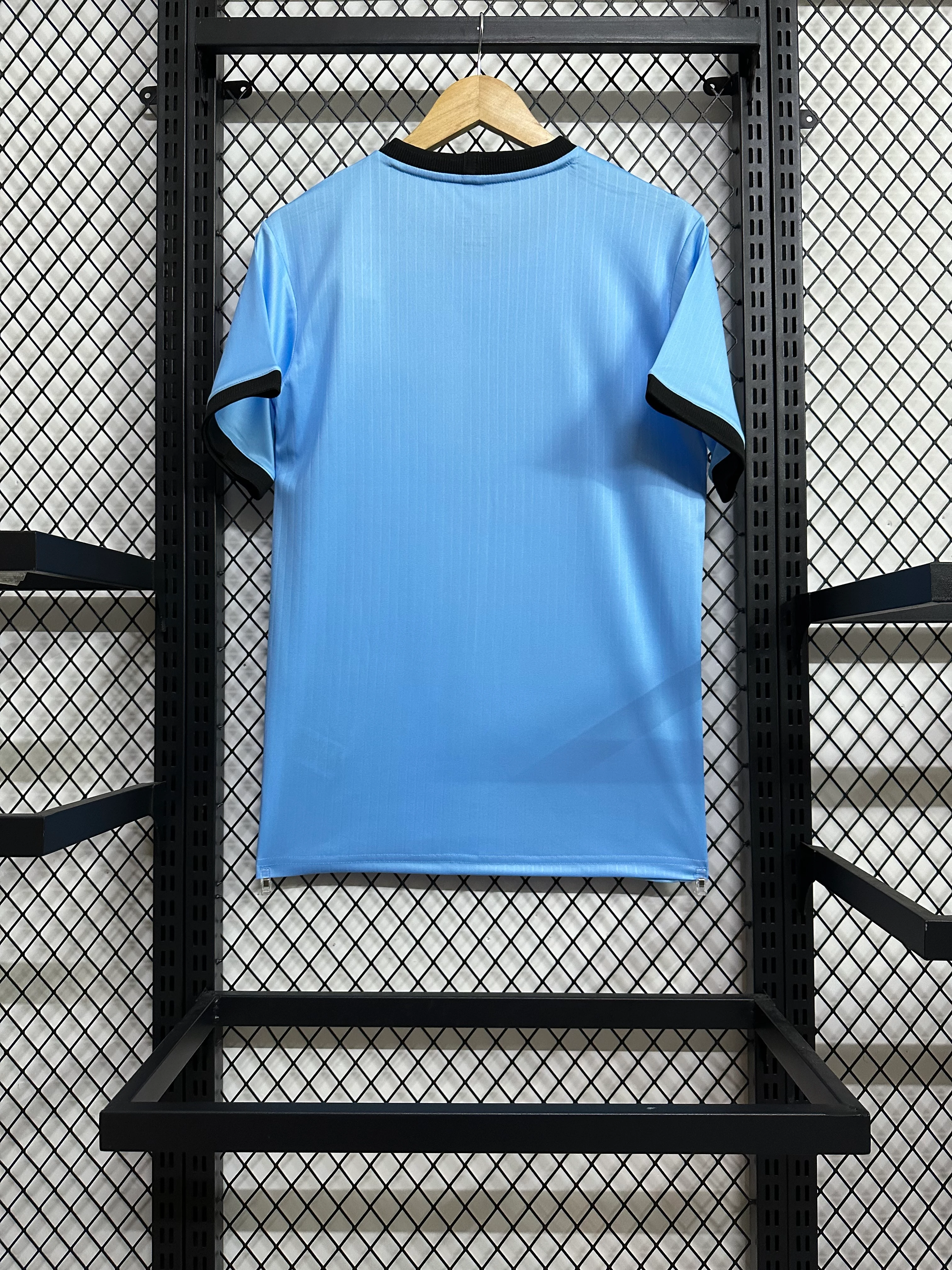 2025–26 Germany National Team 125th Anniversary Goalkeeper Jersey view 2