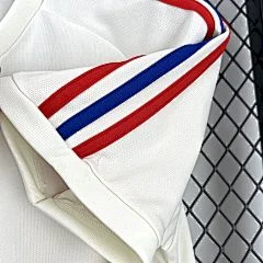 2025-26 Lyon Special Edition Jersey view 3