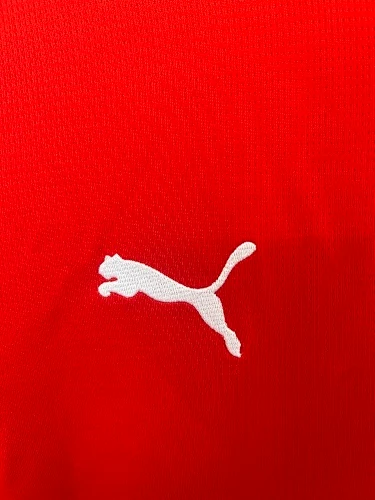 2026 Austria Home Jersey - Fan Edition view 5