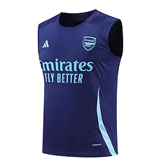 2024-25 Arsenal training vest jersey view 17