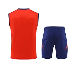 2024-25 Spain training vest jersey view 17
