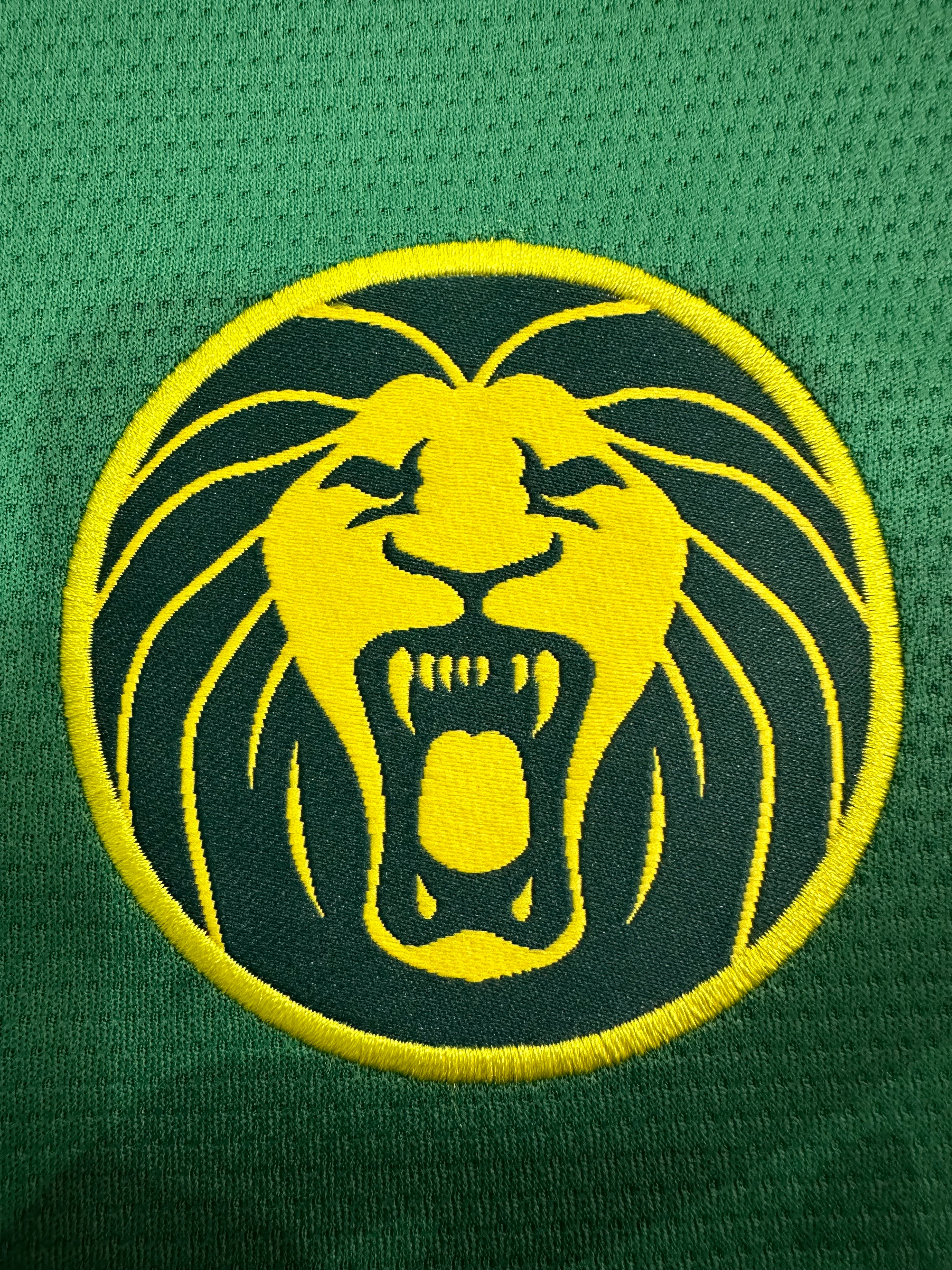 2025-26 Cameroon Home Jersey - Fan Edition view 10